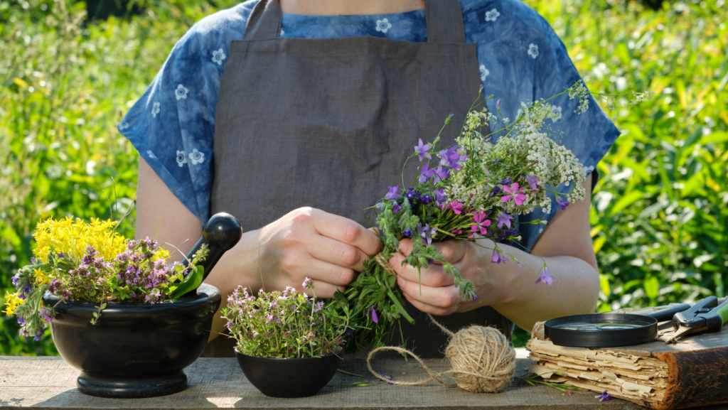 mujer herbolaria cortando plantas medicinales, flores, imagen para post de blog ¿qué es la fitoterapia?