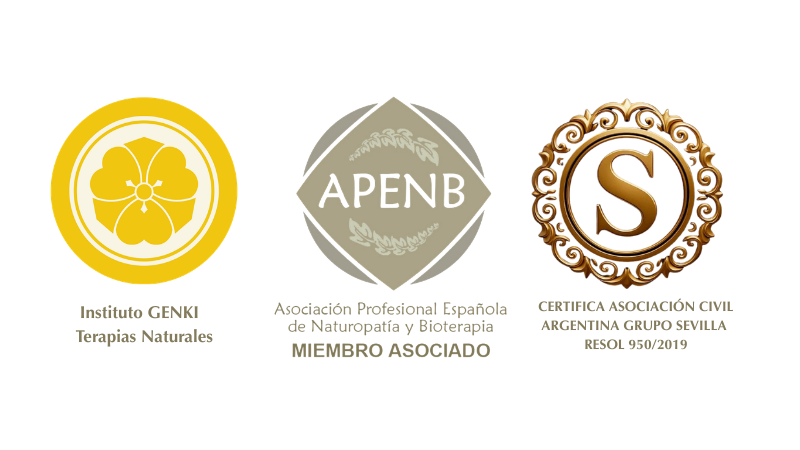 logos certificaciones genki